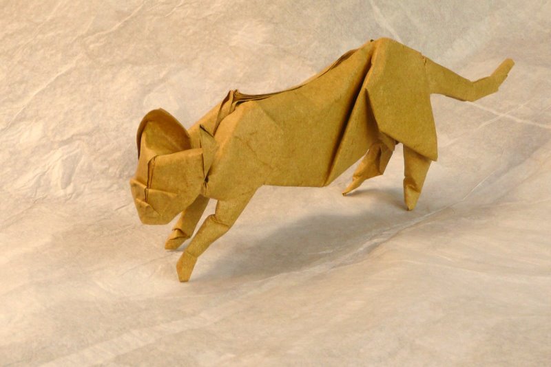 Chat d'après Eric Joisel
plié en peau d'éléphant + MC (50 cm)

ici on voit aussi que le bout des pattes postérieures est trop plat, mais comment faire ?  Allez, j'en referai un...
