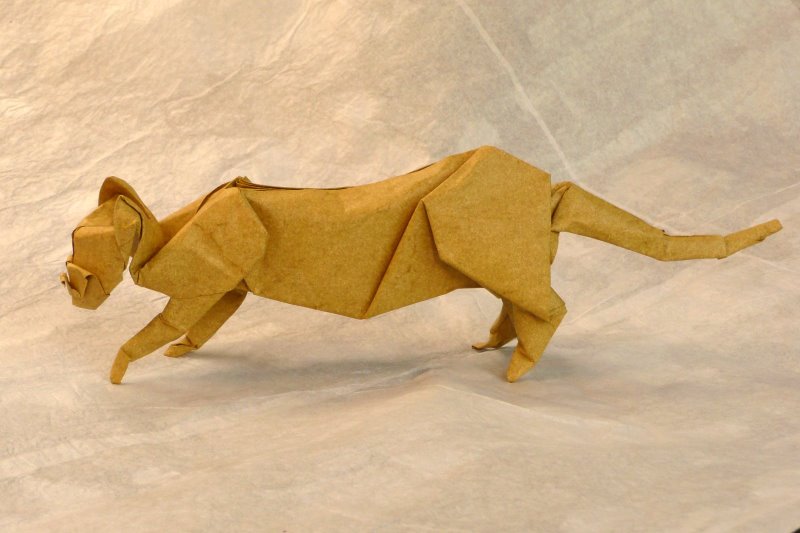 Chat d'après Eric Joisel
plié en peau d'éléphant + MC (50 cm)

je me bats encore avec les pattes postérieures, les couches intérieures sont récalcitrantes, expulsant la base de la queue par la même occasion.
