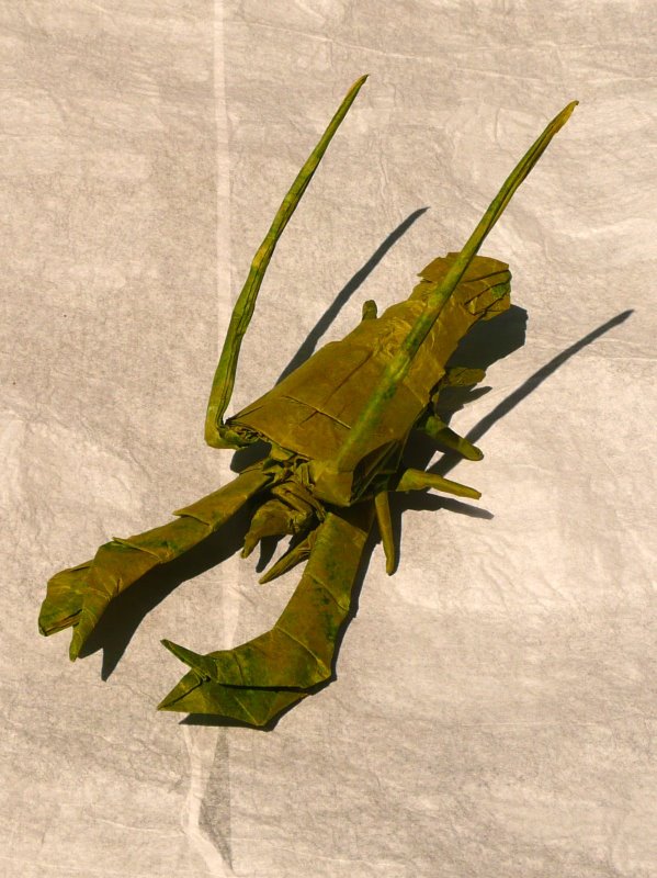 Ecrevisse d'après Manuel Sirgo
Deux couches de papier de soie collées au MC (50cm). C'est déjà trop épais à mon gout.
Mots-clés: crawfish écrevisse