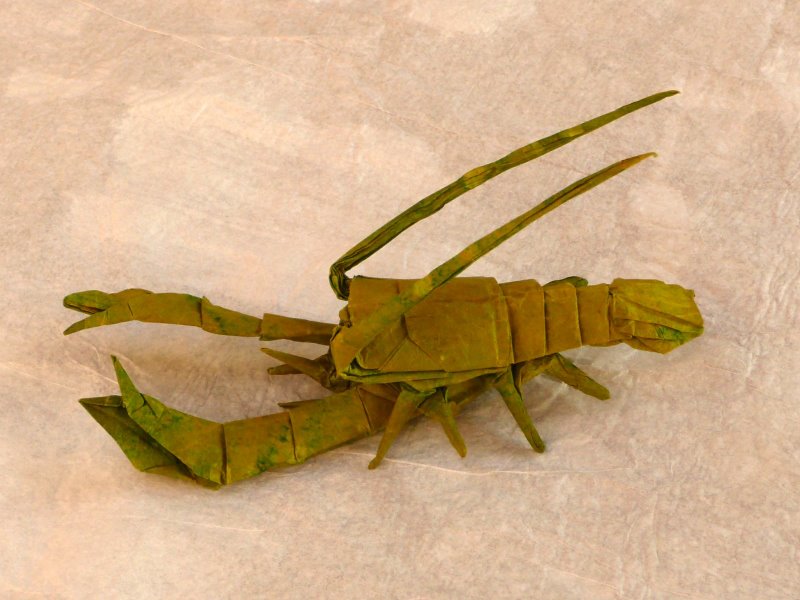 Ecrevisse d'après Manuel Sirgo
Deux couches de papier de soie collées au MC (50cm). C'est déjà trop épais à mon gout.
Mots-clés: crawfish écrevisse