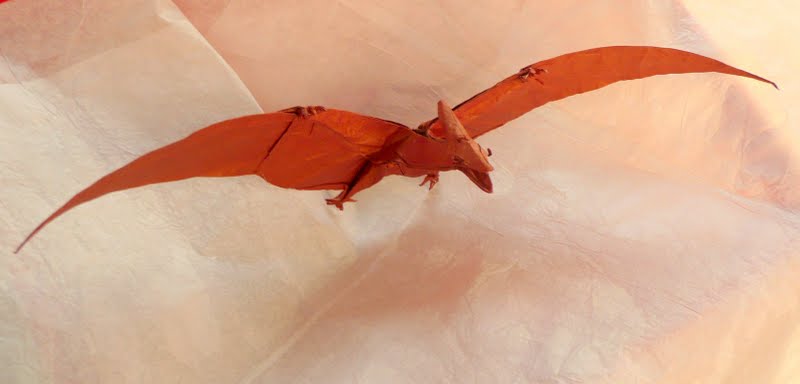 Ptéranodon d'après Robert Lang
plié dans du sandwich soie-alu-soie (50cm) - on dirait qu'il vole... parce qu'il vole - je l'ai laché pour le prendre en photo - ça prend quelques essais :)
