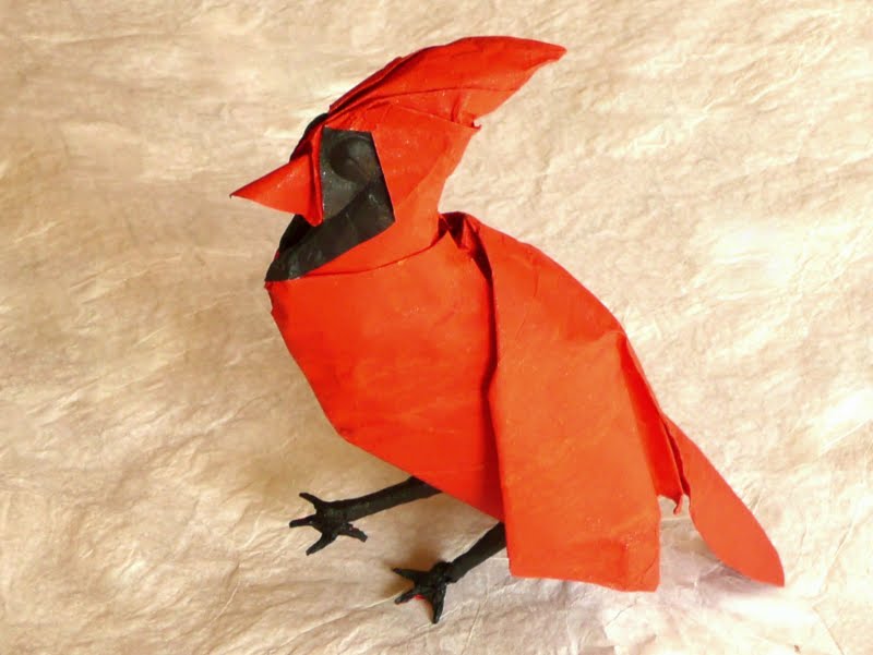 Cardinal (gachepapier)
sandwich alu bicolore 50cm

