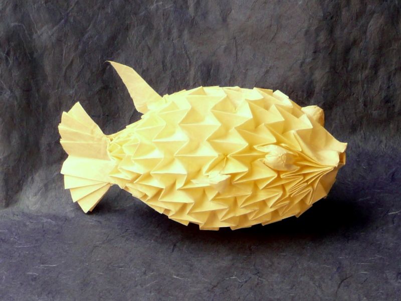 Fugu d'après Sipho Mabona
unryu + MC (64cm)
