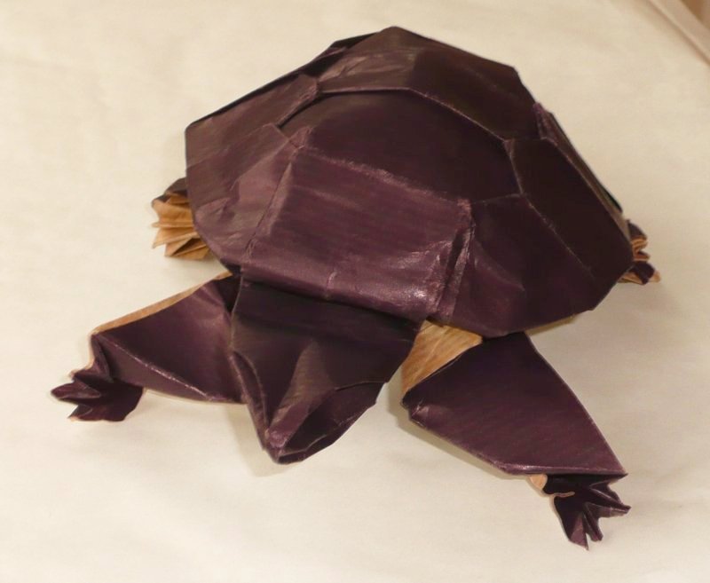 Tortue de R. Lang
Mon premier essai en Kraft (50 cm de côté !). Les écailles ne sont pas super, mais j'ai compris pourquoi en les pliant, mon troisième essai sera mieux, c'est sûr. Un carré plus petit aurait été un peu plus facile à manier aussi...
Mots-clés: tortue