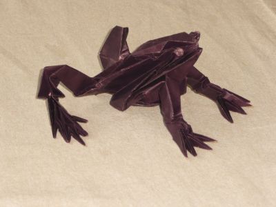 Rainette de R. Lang
50 cm de Kraft, 50.000 heures de pliage... Resterait encore à modeler, mais le Kraft non traité ne le permet pas...
Mots-clés: rainette