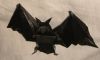 Nom du fichier=mybat.jpg
Taille du fichier=90Ko
Dimensions : 1000x607
Ajouté le : 26 Mai 2008 mybat.jpg