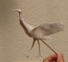 mycrane5.jpg