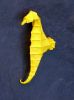 Nom du fichier=seahorse2.JPG
Taille du fichier=62Ko
Dimensions : 599x800
Ajouté le : 07 Juin 2010 seahorse2.JPG