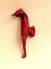 seahorse6.JPG