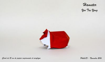Hamster de Yoo Tae Yong
