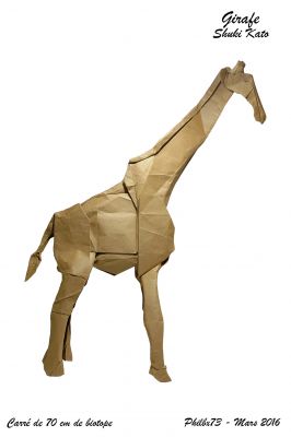 Girafe de Shuki Kato

