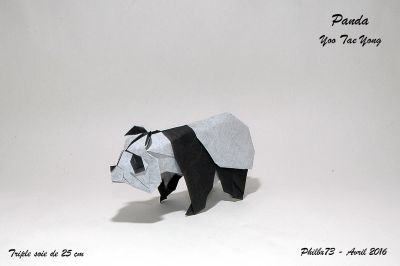 Panda de Yoo Tae Yong
