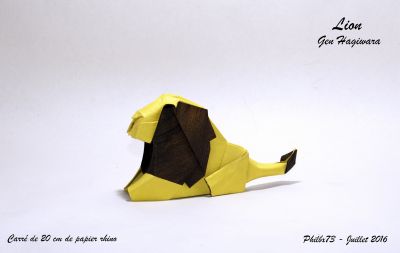 Lion 

