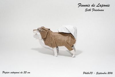 Finnois
