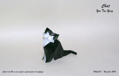 Chat de Yoo Tae Yong
