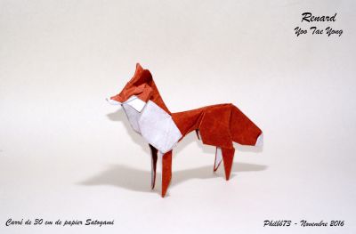 Renard de Yoo Tae Yong
