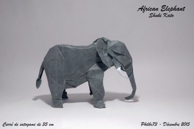 African_elephant_de_Shuki_Kato.jpg
