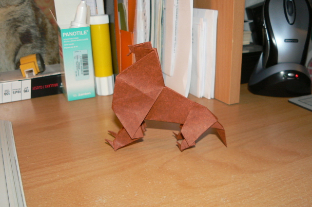 lion
