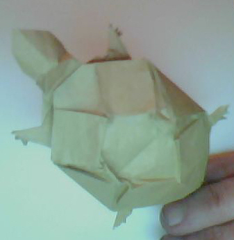 tortue simplifiée
