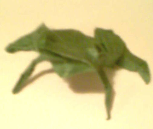 Photo005.jpg