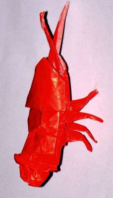 crevette (rose)
