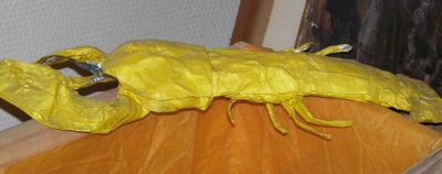homard
