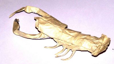 langoustine
