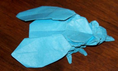 mouche verte (bleue)
