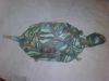 IMG00010-20110129-2119.jpg