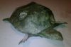 IMG00017-20110214-2251.jpg