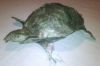 IMG00018-20110214-2251.jpg
