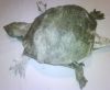 IMG00019-20110214-2251.jpg