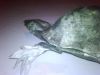 IMG00020-20110214-2252.jpg
