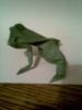 grenouille2.jpg