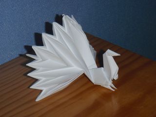 Paon de Daniel Llavaneras
