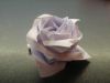 Nom du fichier=Kawasaki_rose_(2).JPG
Taille du fichier=47Ko
Dimensions : 640x480
Ajouté le : 26 Août 2009 Kawasaki_rose_(2).JPG