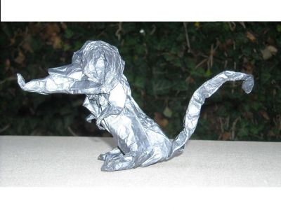 Rat Ecic 2 eme photo
