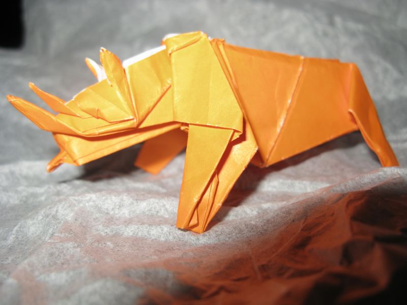 Rhinocéros Noir de Ronald Koh
Carré ed 30X30 cm 
Papier Origami
