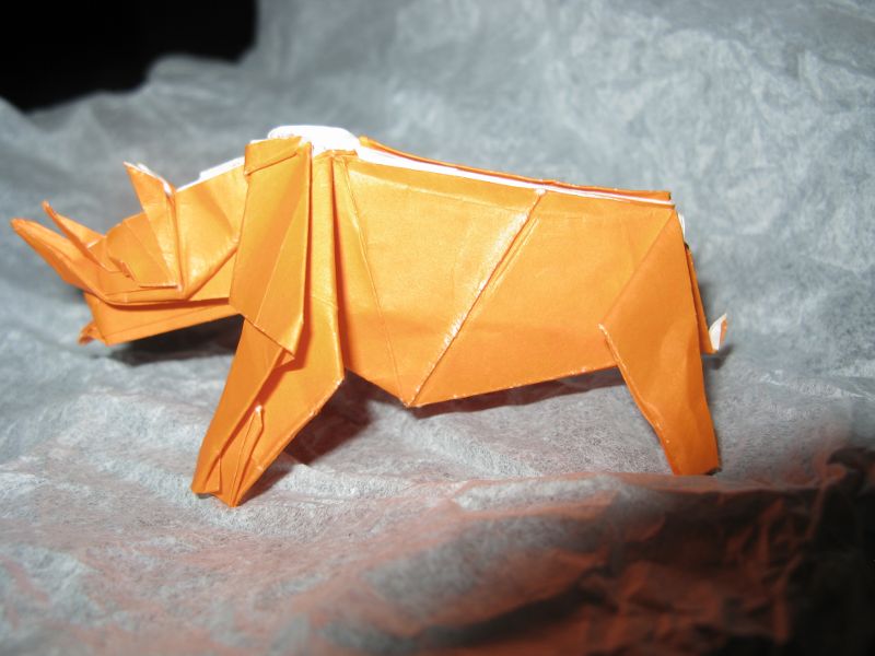 Rhinocéros Noir de Ronald Koh
Carré ed 30X30 cm 
Papier Origami
