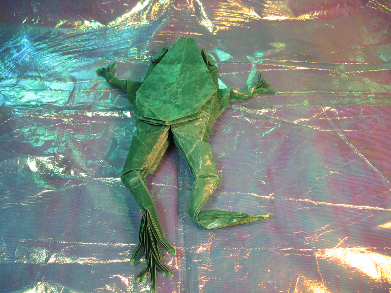 Tree Frog 3.6 de Petr Stuchly-arriere
Challenge de pliage
Carré de 50cm
Double soie-traité et modelé au Vernis (à base d'eau)
