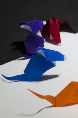 Des souris pour Oritsuru
