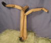 Arbre2-sans_noeud.png