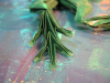 Tree_Frog_3_6_de_Petr_Stuchly-patte_arriere.png