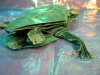 Tree_Frog_3__6_de_Petr_Stuchly-tete.png