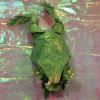 Nom du fichier=Tree_frog_3_6_de_Petr_Sturchly-de_face_modeler.png
Taille du fichier=800Ko
Dimensions : 600x600
Ajouté le : 09 Août 2010 Tree_frog_3_6_de_Petr_Sturchly-de_face_modeler.png