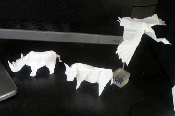 Rhino, vache et héron
