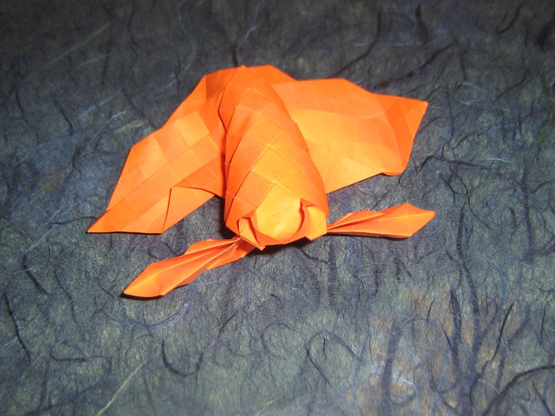 poisson.jpg