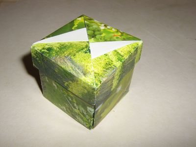 Tomoko Fuse tsuzura box
