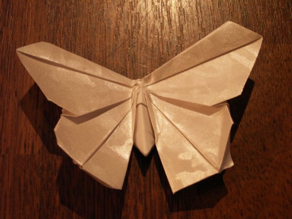 PAPILLON
MICHAEL G LAFOSSE 
