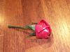 PICT0038.jpg
